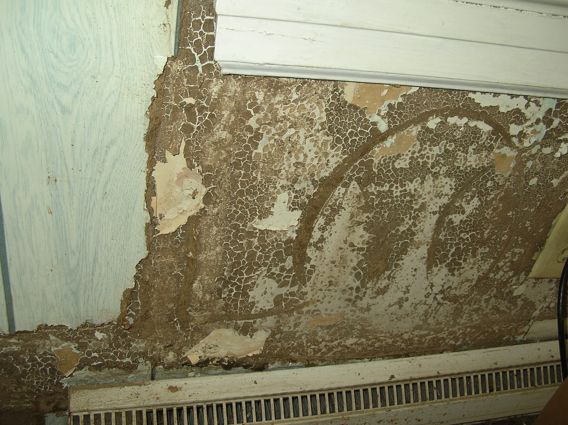 Severe Termite Damage